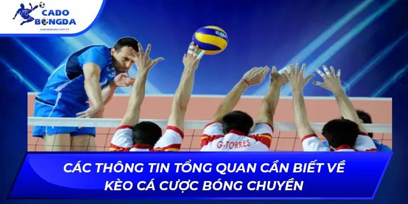 Các thông tin tổng quan cần biết về kèo cá cược bóng chuyền