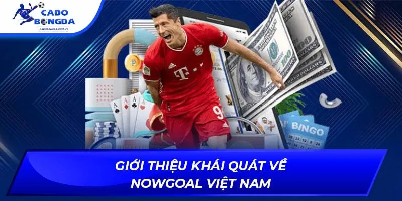 Giới thiệu khái quát về nowgoal việt nam