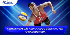 Kèo cá cược bóng chuyền