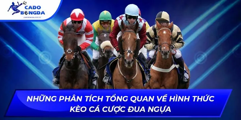 Những phân tích tổng quan về hình thức kèo cá cược đua ngựa
