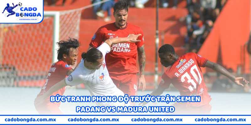 Bức tranh phong độ trước trận Semen Padang vs Madura United